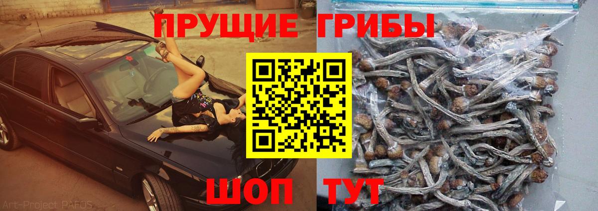 Галлюциногенные грибы GOLDEN TEACHER Янаул