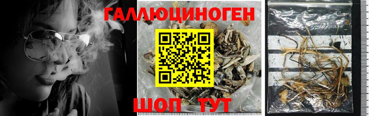Галлюциногенные грибы Cubensis  Вход с VPN  Псилоцибиновые грибы GOLDEN TEACHER  Янаул 